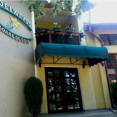 Pension Edelweiss Exterior photo