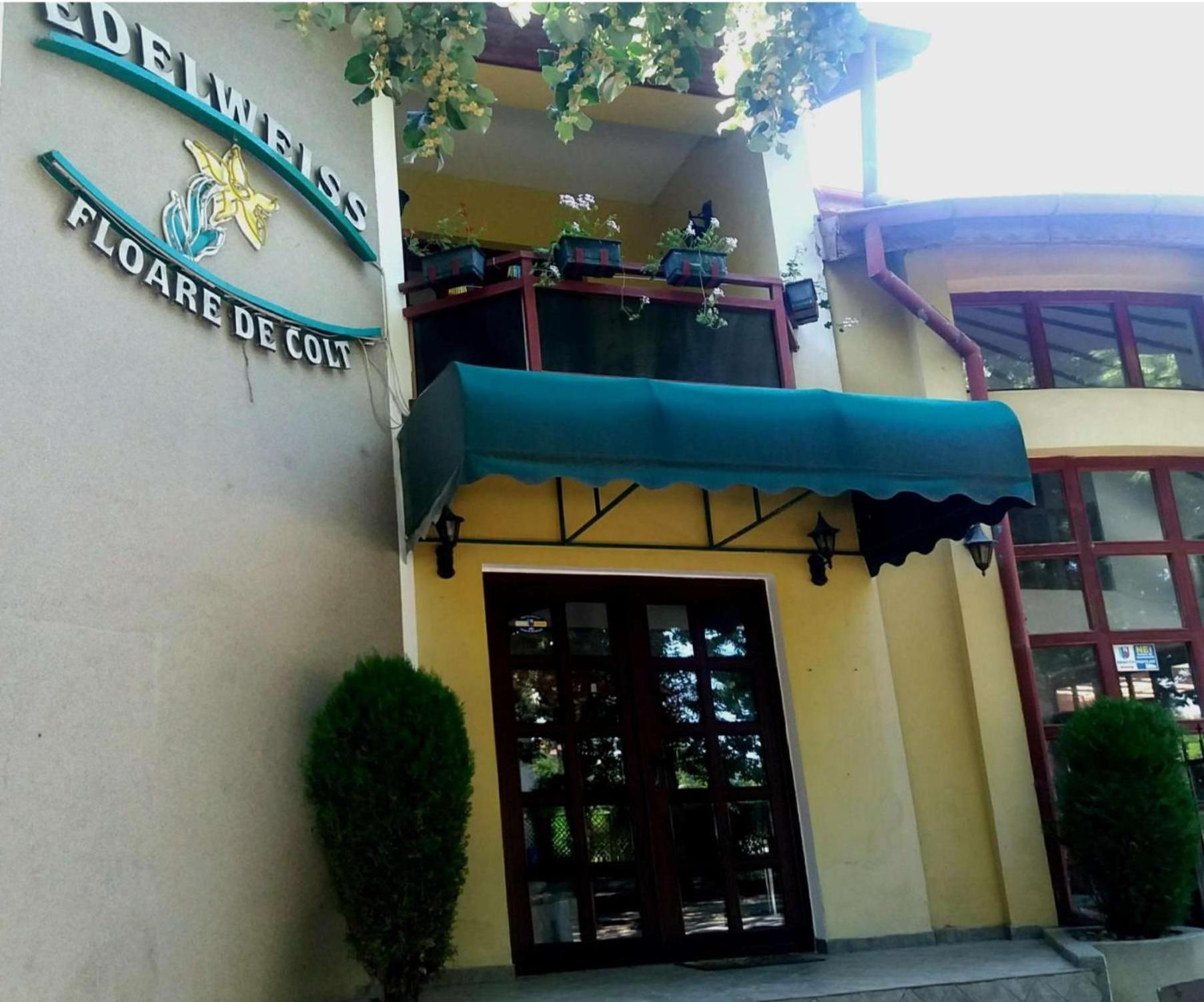 Pension Edelweiss Exterior photo