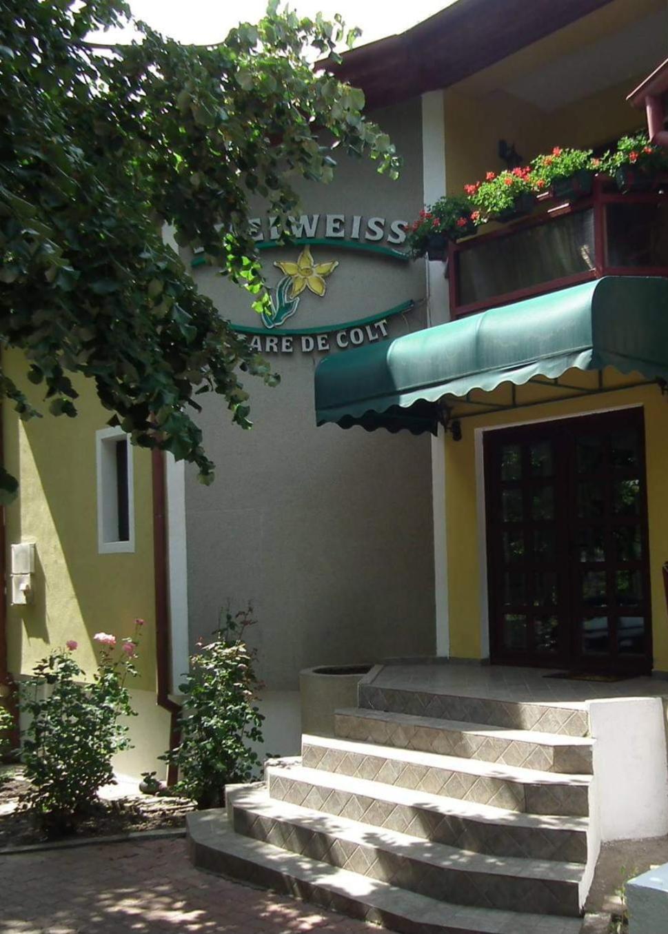 Pension Edelweiss Exterior photo